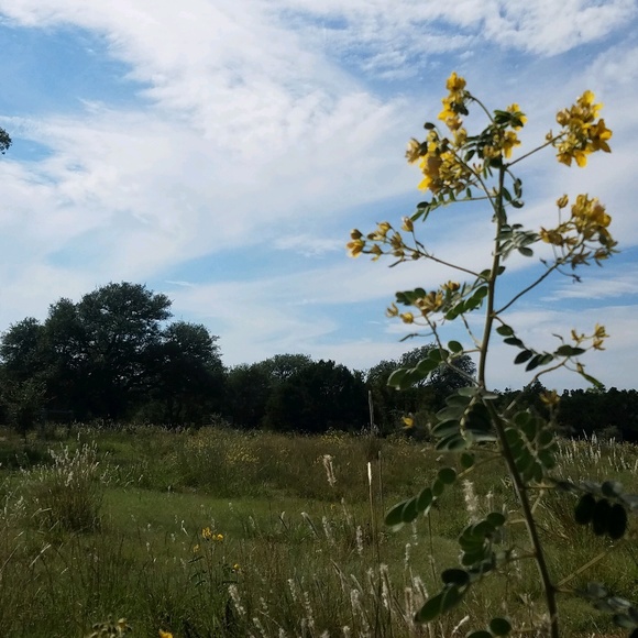 Meet your Posher, Hannah - Picture 1 of 1